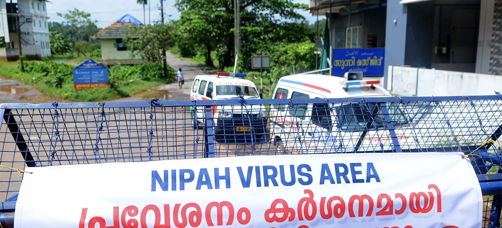 Why the World Should Be More Than a Bit Worried About India's Nipah Virus Outbreak