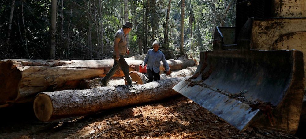 Brazilian Amazon Deforestation Up 150% in Bolsonaro's Last Month