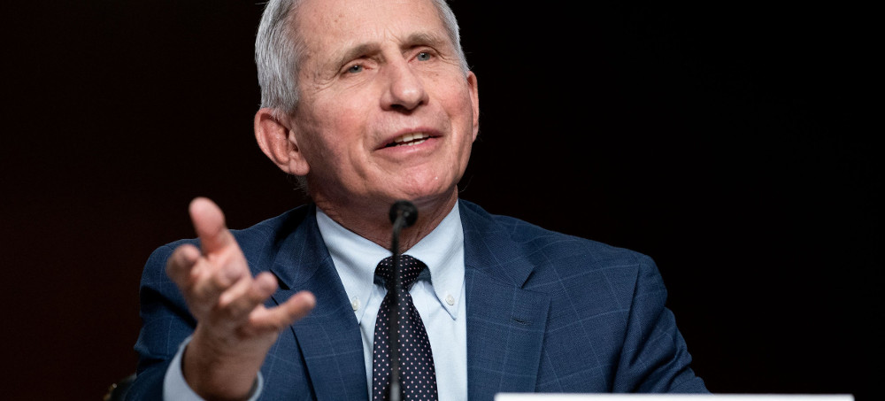 Fauci Defends Calling GOP Senator a Moron: 'I'm Just Following the Science'