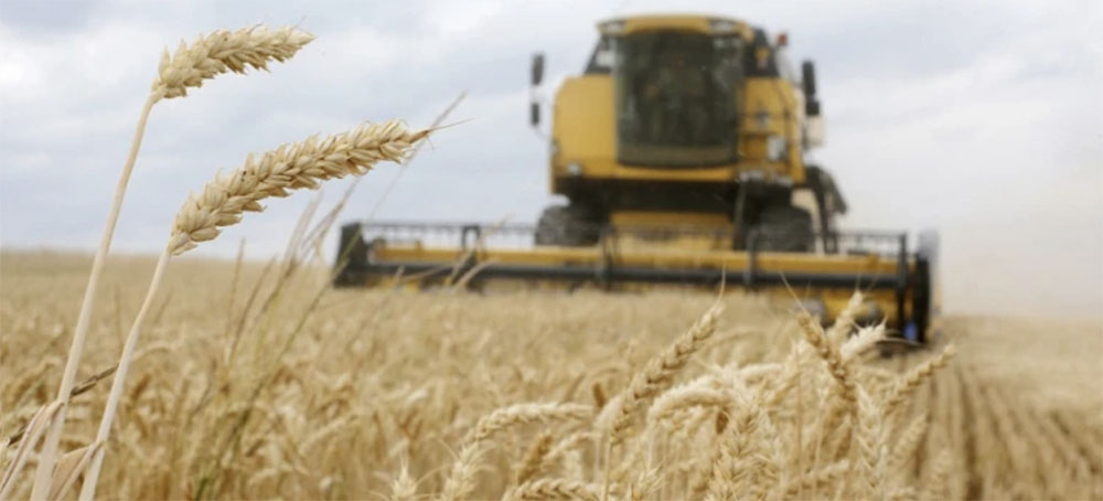 Middle East and North Africa Faces a Crisis as the World's Key Wheat Producers Are at War
