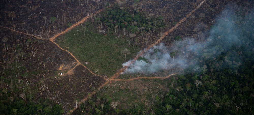 Brazilian Amazon Sees Record Deforestation During First Three Months of 2022