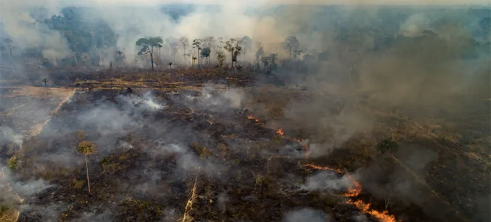 The Amazon Rainforest Can't Survive 4 More Years of Brazil's Jair Bolsonaro