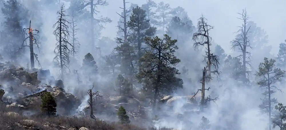 'Turning the Dial Up': US South-West Braces for Extended Wildfire Season Amid Drastic Drought