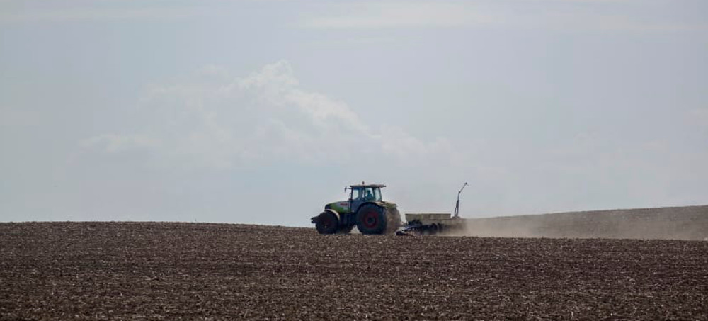 The Looming Catastrophe of the Global Food Shortage