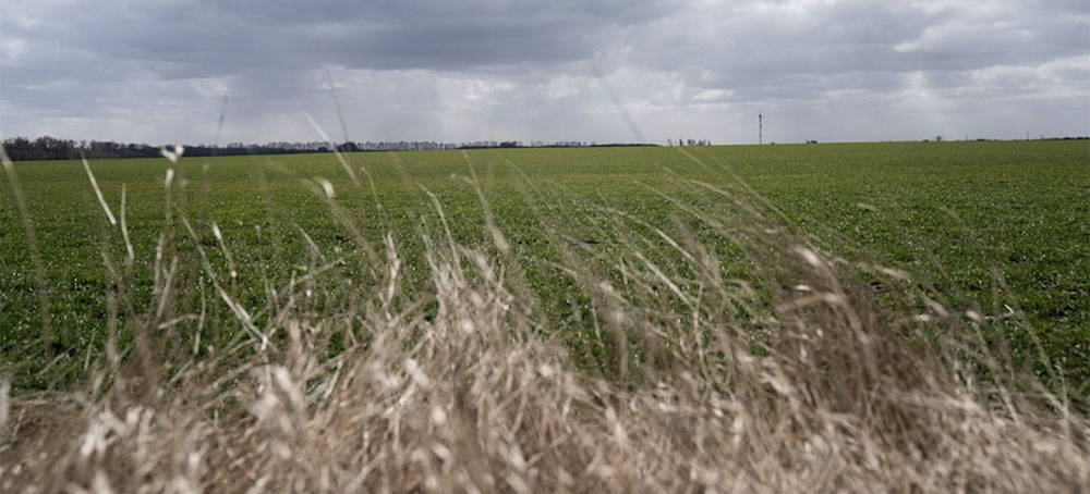 UN: Nearly 25 Million Tons of Grain Are Stuck in Ukraine