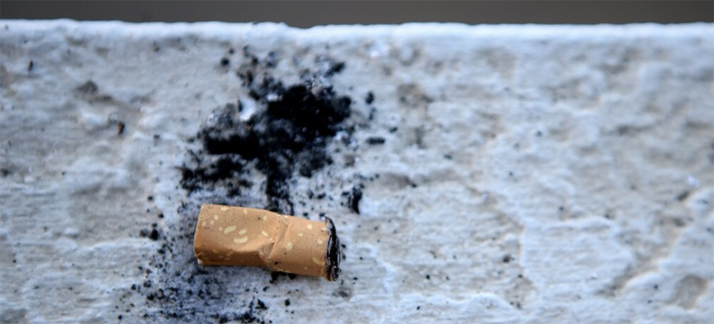 WHO: Big Tobacco's Environmental Impact Is 'Devastating'