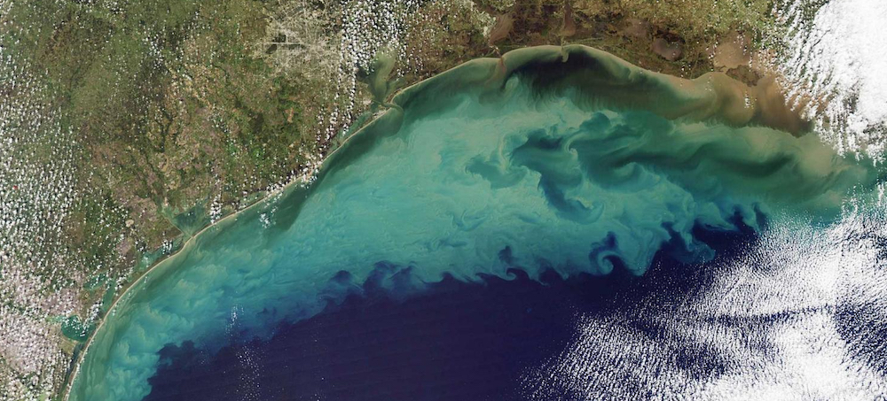 Climate Change Is Fueling a 5,000-Square-Mile 'Dead Zone' in the Gulf of Mexico