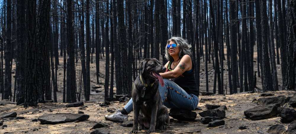 'It Wiped Us Out': History of US Forest Mismanagement Fans the Flames of Disaster
