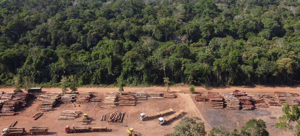 Brazil's Amazon Lost Record Amount of Forest During First Six Months of 2022