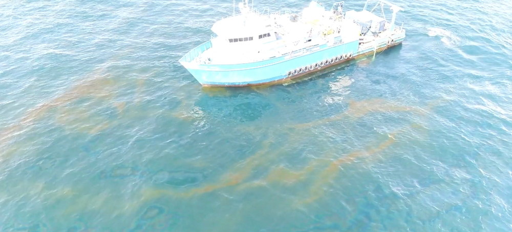 1 Million Gallons of Oil Collected Since 2019 From 18-Year-Old Spill in Gulf of Mexico