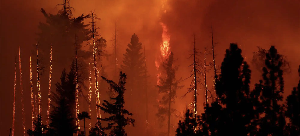 California Oak Fire Remains Uncontained as Al Gore Warns 'Civilization at Stake'