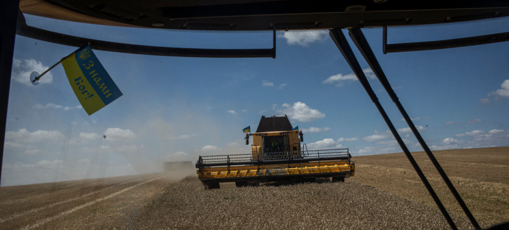 Crops 'Stored Everywhere': Ukraine's Harvest Piles Up