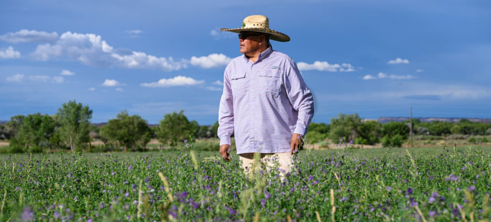 'We Feel Disrespected': Navajo Farmers Wait for Justice Years After EPA Disaster