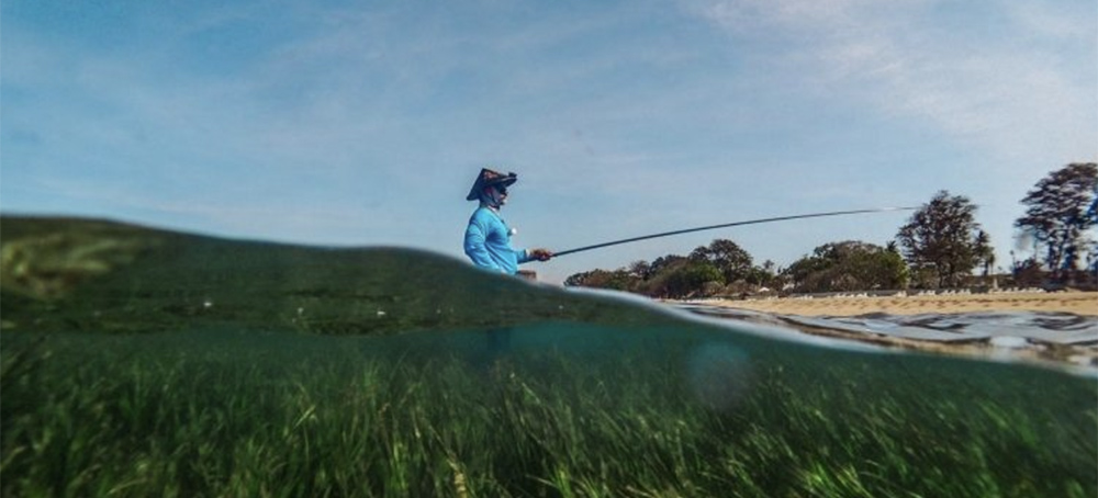 Overlooked and at Risk, Seagrass Is Habitat of Choice for Many Small-Scale Fishers