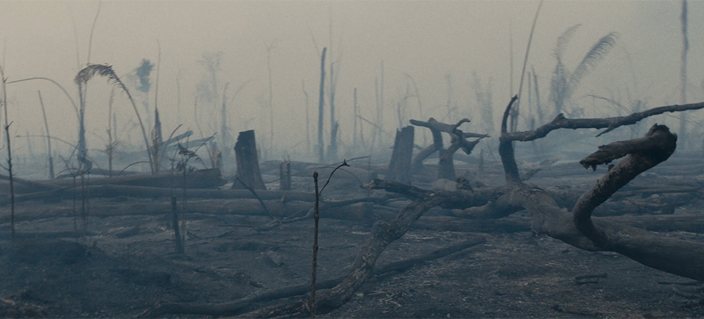 The Front Lines of the End of the World - and the Fight to Save the Amazon 