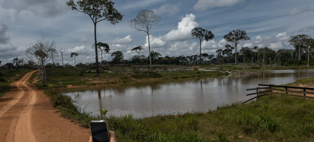 A Failure of Enforcement: Deforesters Are Plundering the Amazon. Brazil Is Letting Them Get Away With It.