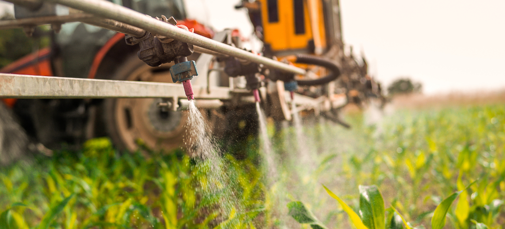EPA Declines Stricter Regulation On Pesticide Linked to Bee Die-offs