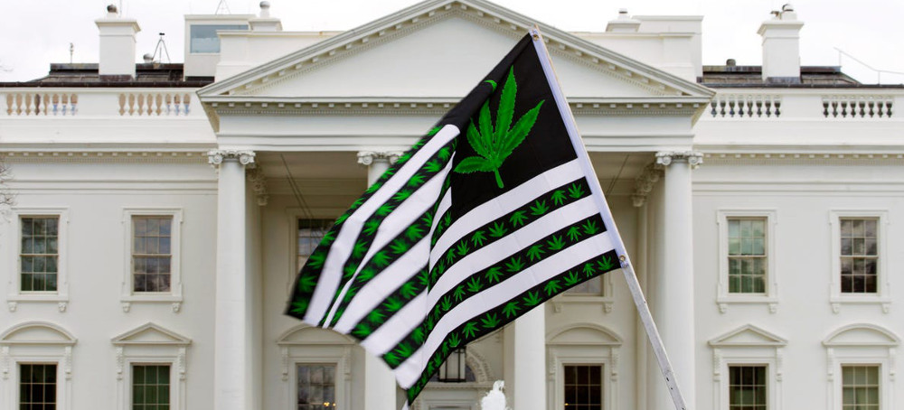 Biden to Pardon All Federal Offenses of Simple Marijuana Possession