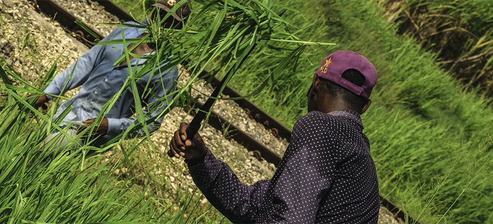 Paramilitary-Style Guards Instill Fear in Workers in Dominican Cane Fields