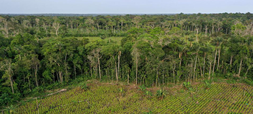 In Colombia, a New President Faces Old Environmental Challenges