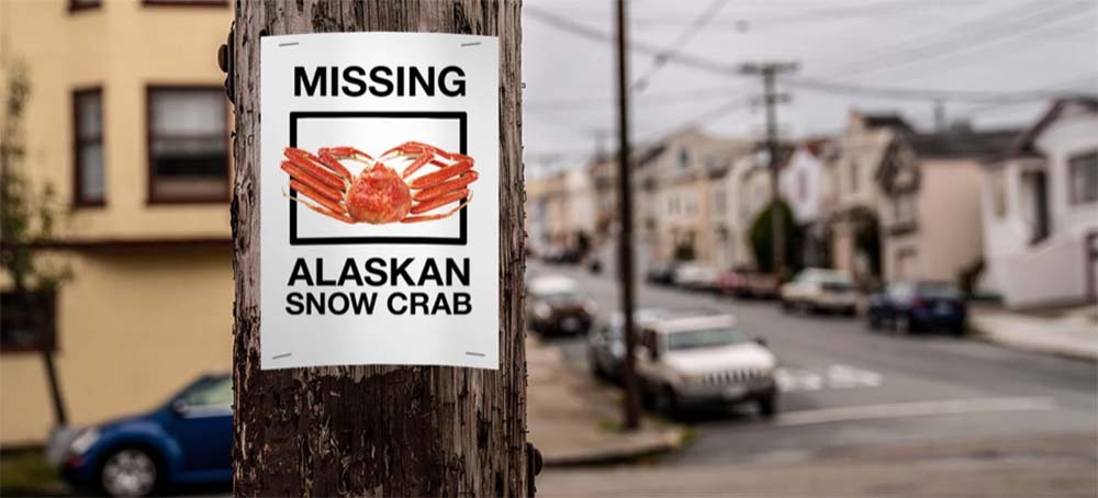 Expert Identifies Climate Change as 'Key Culprit' in Mass Die-Off of Alaska Snow Crabs