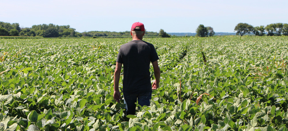 Big Agriculture Warns Farming Must Change or Risk 'Destroying the Planet'