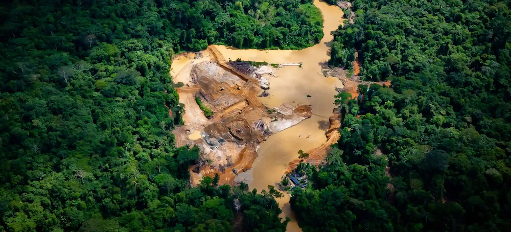 Brazil Goldminers Carve Illegal 'Road to Chaos' Out of Amazon Reserve