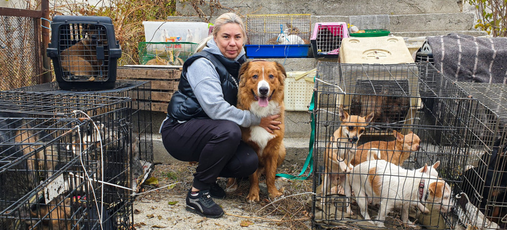 How Volunteers Risk Their Lives to Rescue Abandoned Animals Amid War