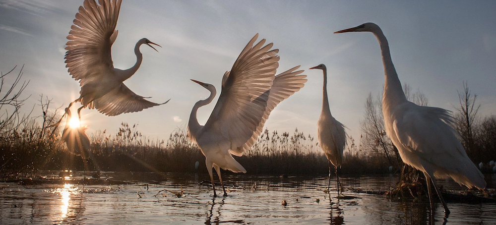 The EPA Finalizes a Water-Protection Rule That Repeals Trump-Era Changes