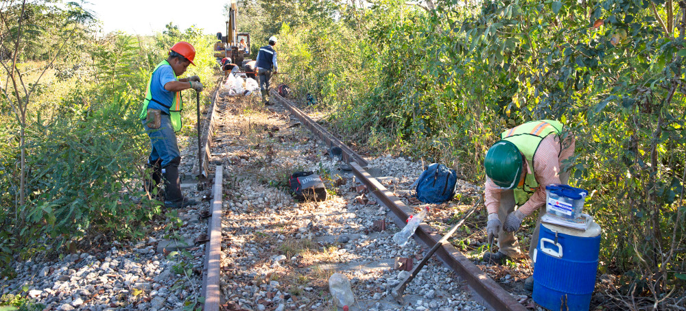 Mexico's Mayan Train Critically Threatens Ancient, Pristine Areas, Scientists Warn