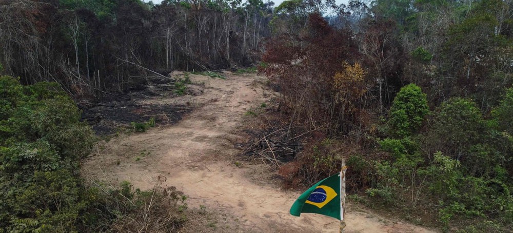 How the Brasília Violence Has Its Roots in Bolsonaro's War on Nature