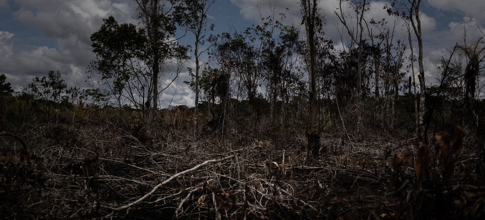Brazilian Meat Giant Under Fire for Allegedly Misleading Investors