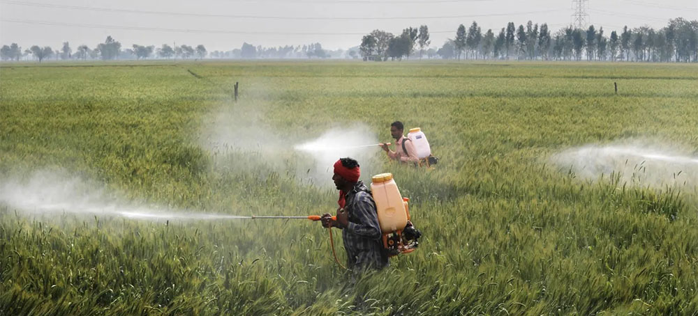 How Pesticides Intensify Global Warming