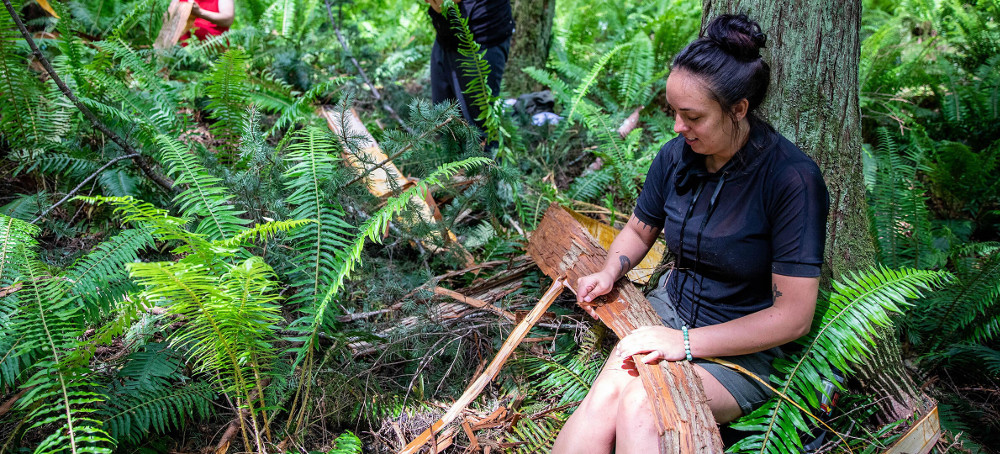 How Tribes Are Reclaiming and Protecting Their Ancestral Lands From Coast to Coast