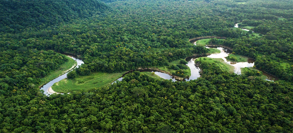 The Best Way to Save Forests? Legally Recognize Indigenous Lands.