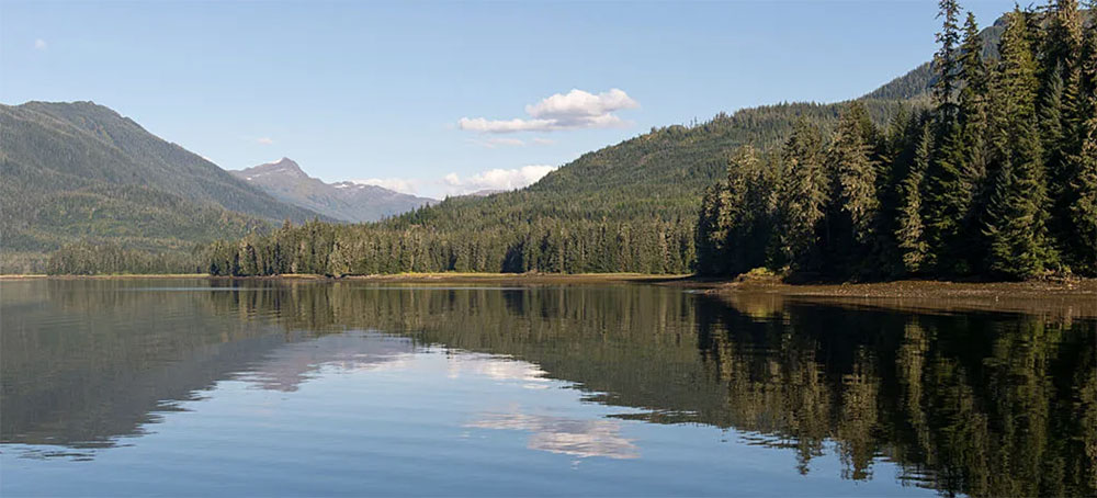 Why Biden's New Protections Don't Eliminate Threats to the Tongass National Forest