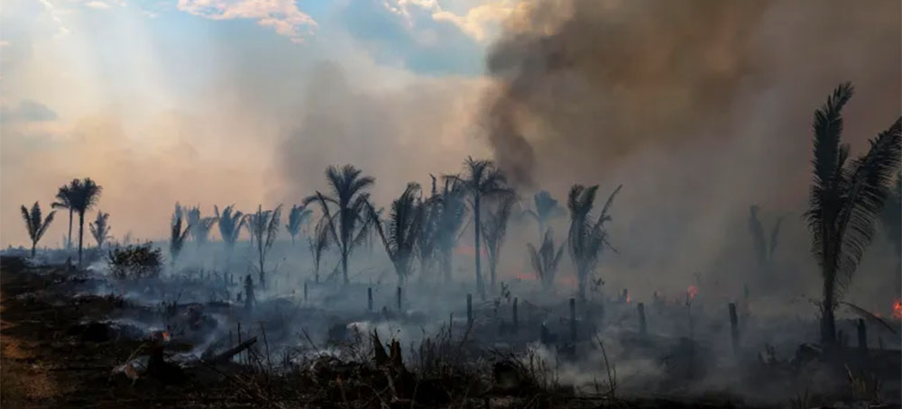 Brazil's Amazon Deforestation Again Hits Record High for February
