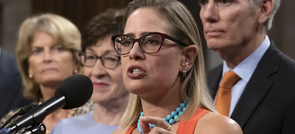 Private Equity Billionaire Tied to Jeffrey Epstein Led Industry Backing for Kyrsten Sinema