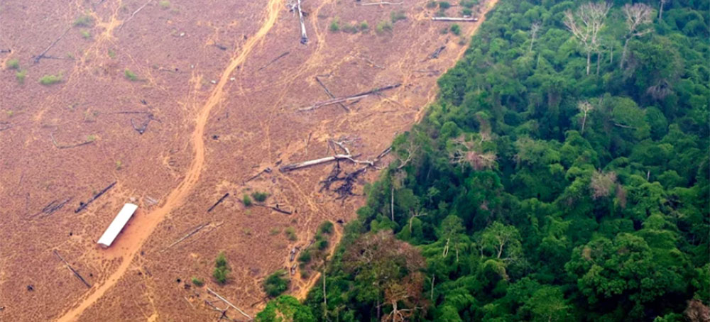 Why Deforestation Means Less Rain in Tropical Forests