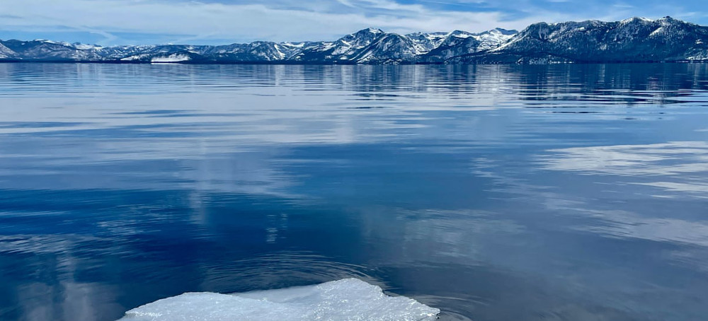 Lake Tahoe's Best Clarity in 40 Years Is the Work of This 'Natural Clean-Up Crew'