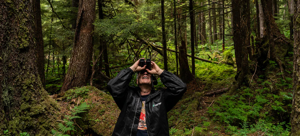 US Has Inventoried Old-Growth Forests. Will Protection Be Next?