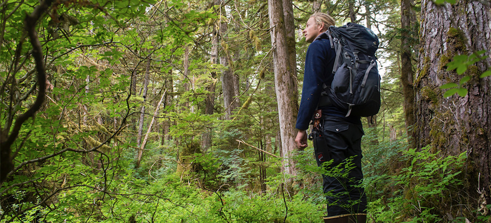 The Fight to Save North America’s Temperate Rainforests