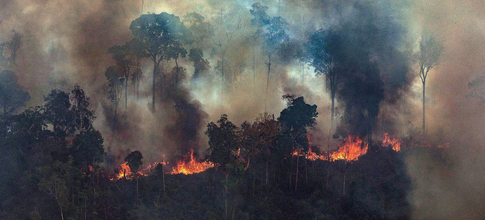 Here's a Realistic Path to Protecting the Amazon Rainforest