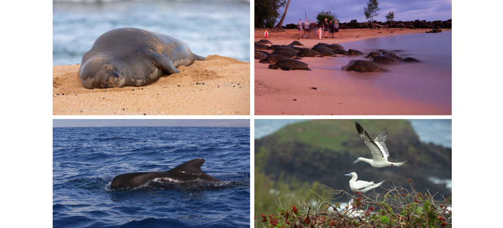 Welcome to the Extinction Capital of the World 