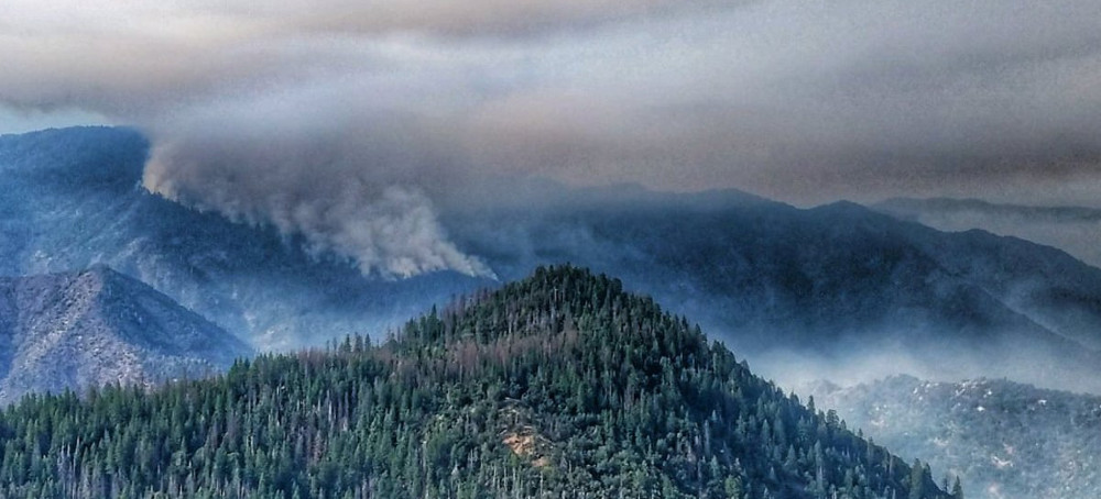 Plan to Stash Planet-heating Carbon Dioxide Under US National Forests Alarms Critics