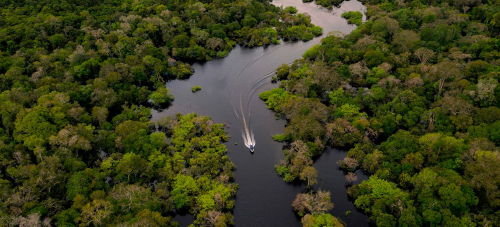 Parts of Tropical Rainforests Could Get Too Hot for Photosynthesis, Study Suggests