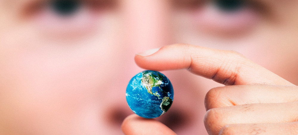 Elon Musk's Shadow Rule