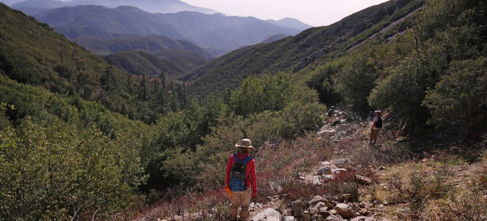 Nestlé Bottled Water From California Spring for 100 Years. It's Illegal and Must Stop, Regulator Says