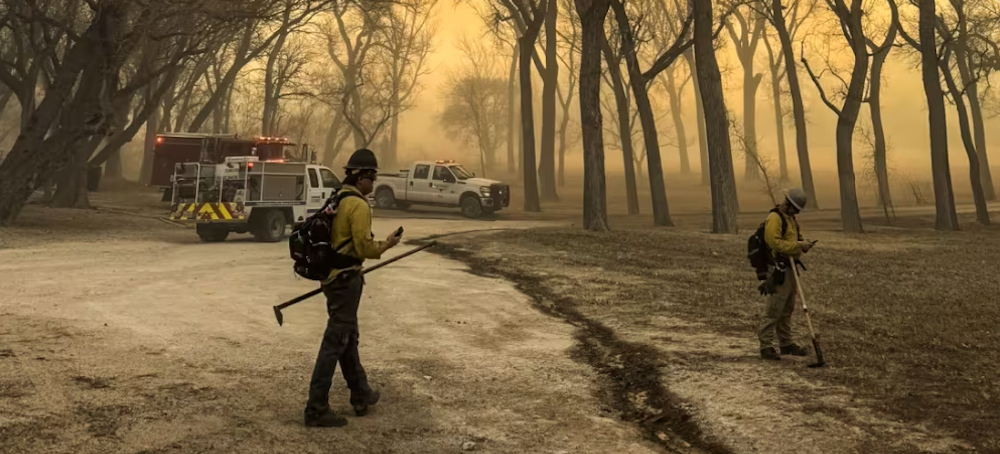 In Texas, a Powerful Combination of Dry Land and High Winds Fuels Wildfires