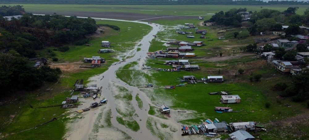 The Uphill Battle to Save the Amazon Rainforest